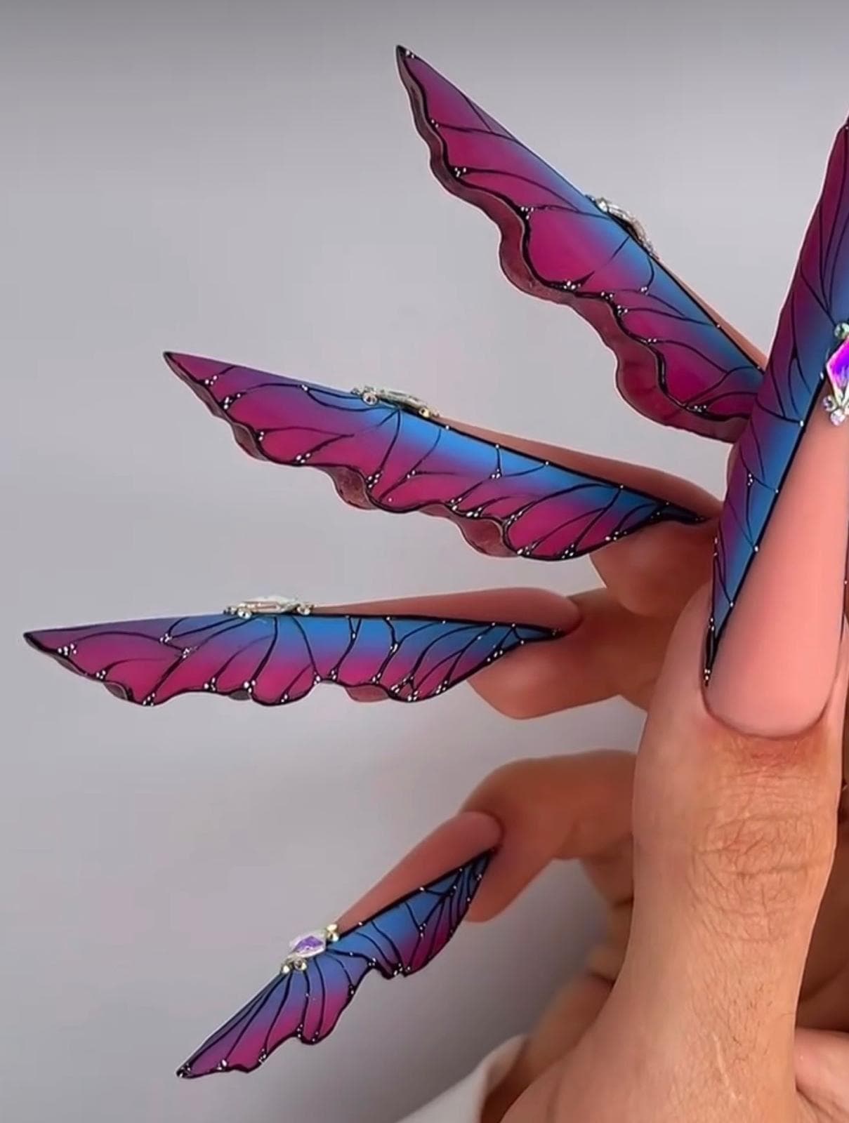 BUTTERFLY